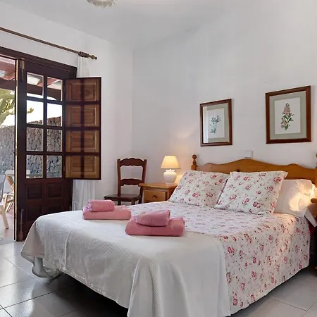 Palmeras * Playa Blanca (Lanzarote)